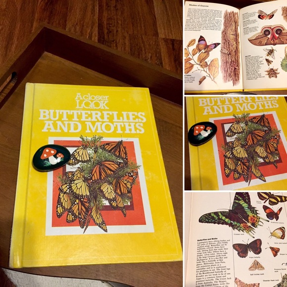 🦋2/$10 3/$15 4/$18 5/$20 Vintage 70s Book/Rock